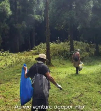 A plogger with a blue bag walking through a grassy clearing in a pine forest.